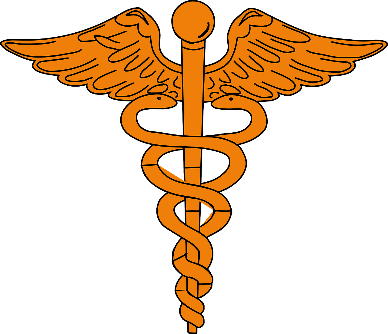 medical-HIS
